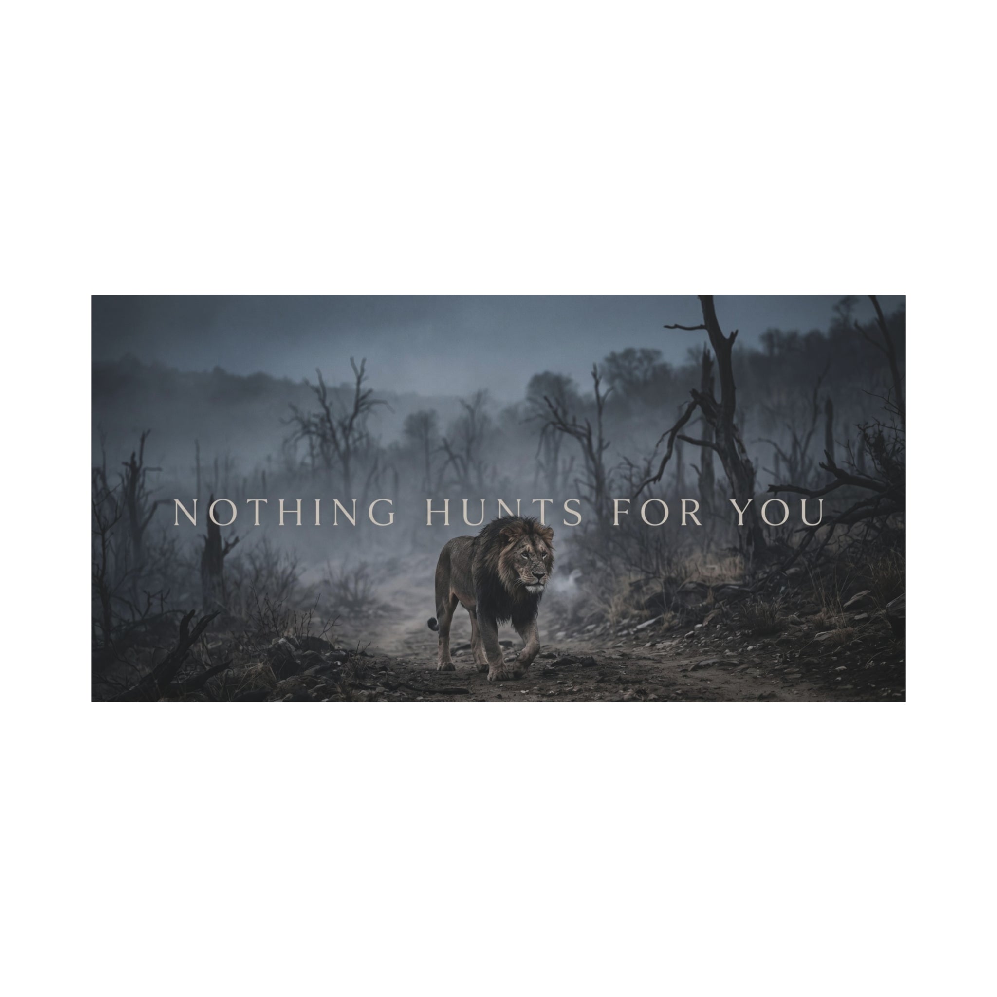 NOTHING HUNTS FOR YOU