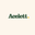 acelett.store favicon